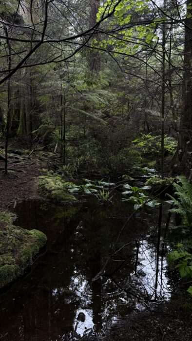 Stanley Park, Vancouver
